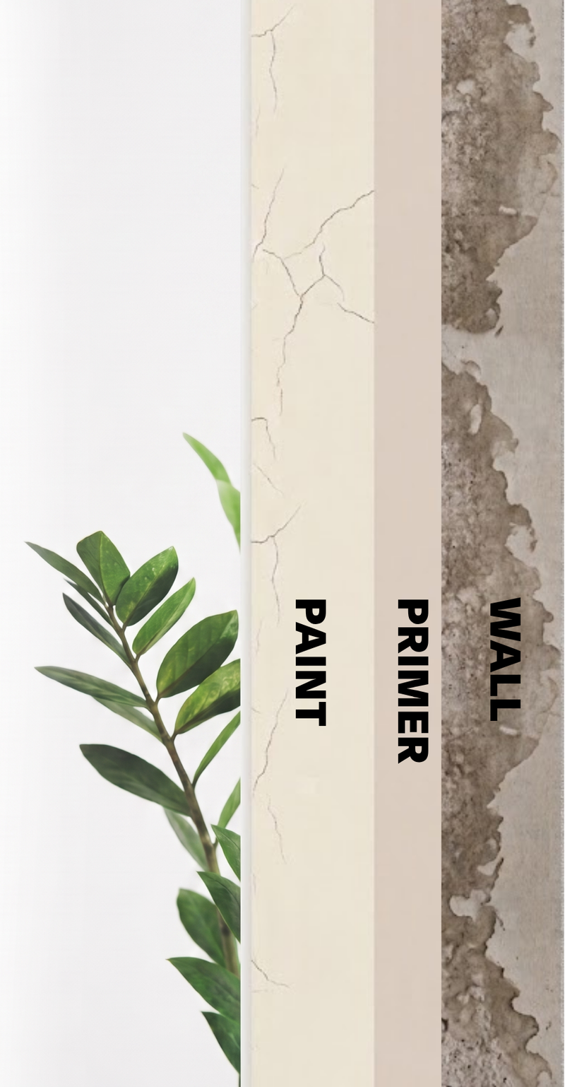 Conventional Paint