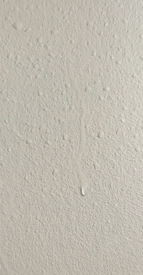 Conventional Paint