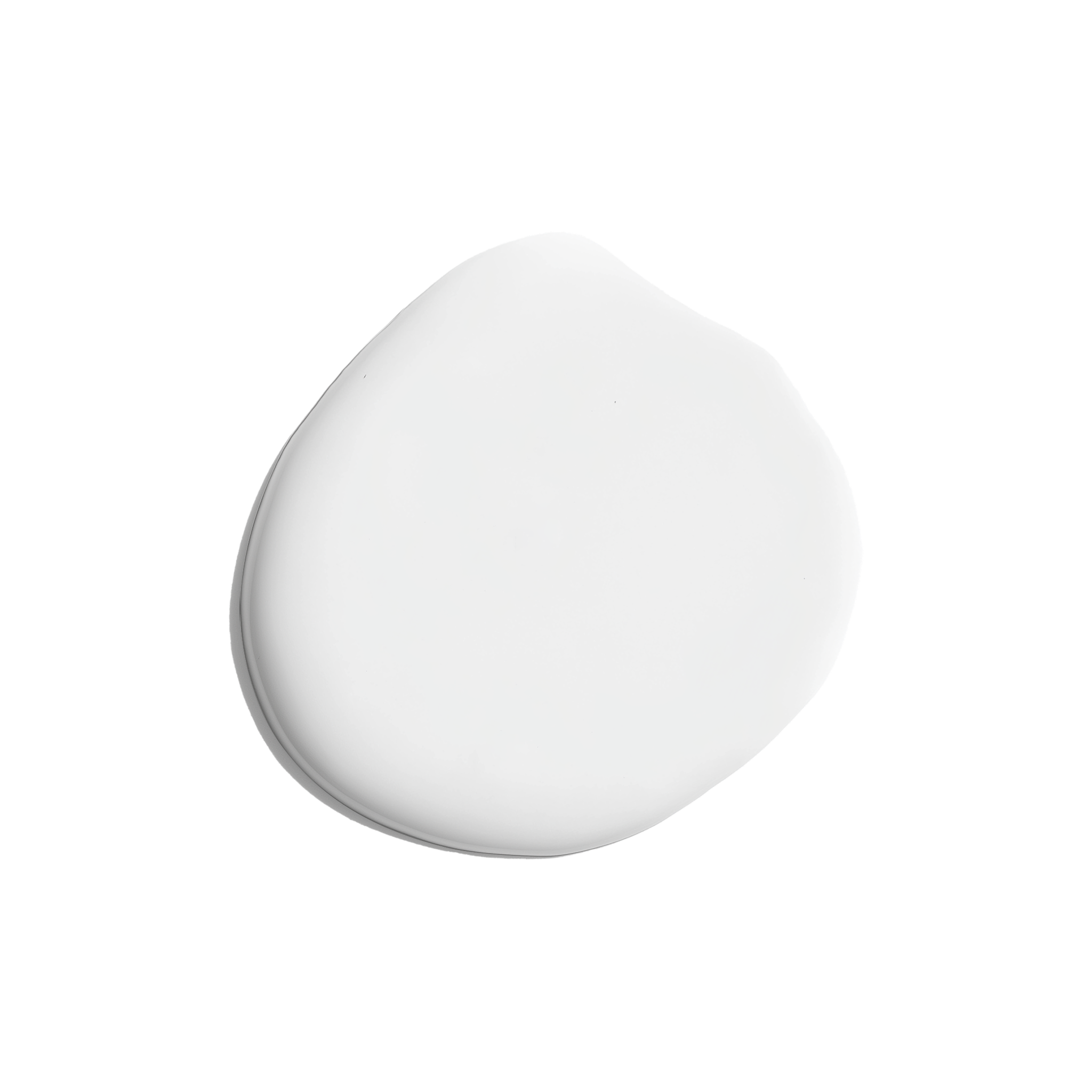 Lilypad Paint & Primer Kit